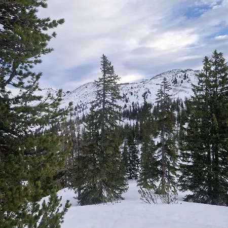 Апартаменты Haus Andrea