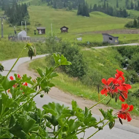 Apartment Haus Andrea Planneralm