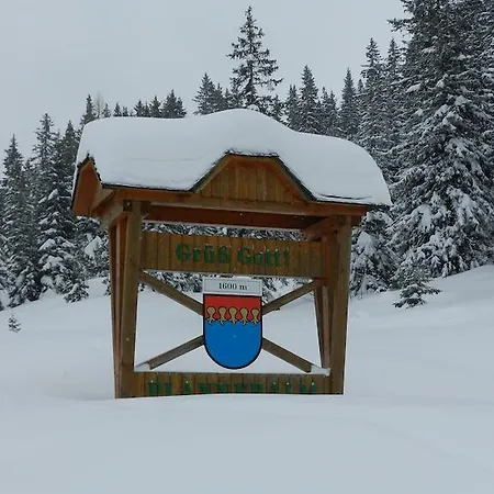 Apartment Haus Andrea Planneralm