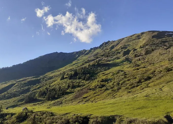 Haus Andrea Planneralm