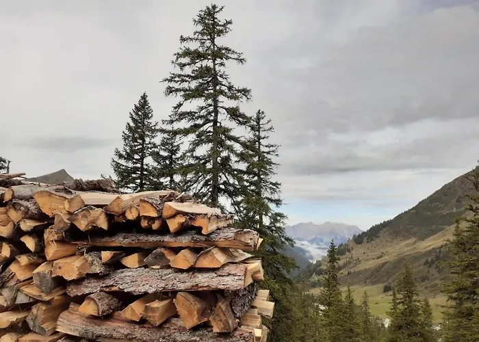 Haus Andrea Apartament *