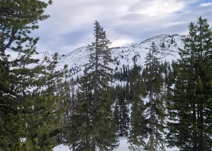 Lägenhet Haus Andrea