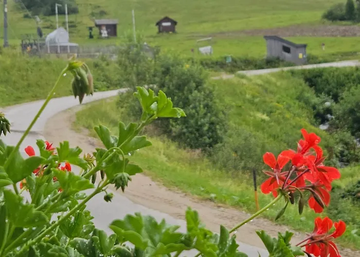 Lägenhet Haus Andrea Planneralm